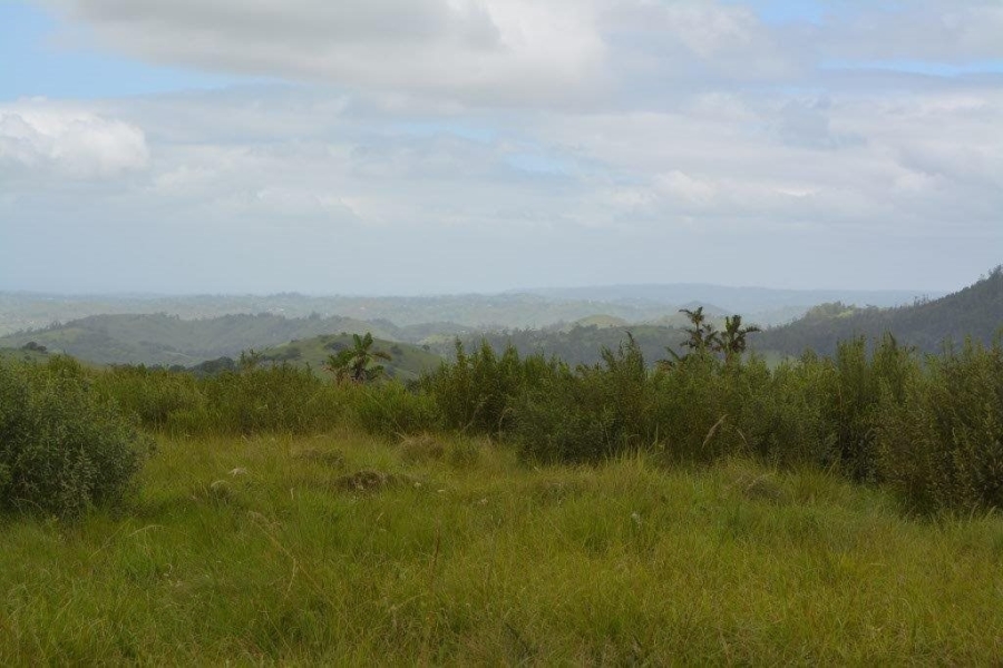 Commercial Property for Sale in Paddock KwaZulu-Natal