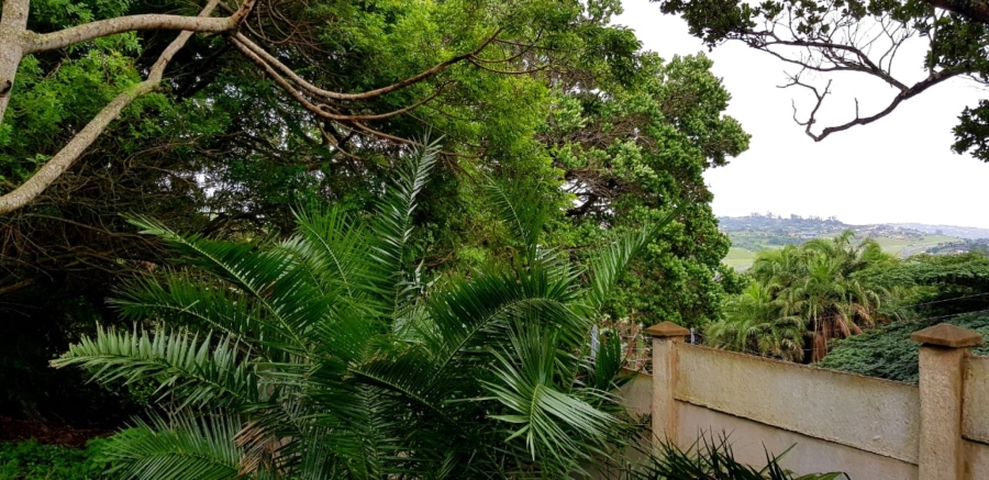 Commercial Property for Sale in Hibberdene KwaZulu-Natal