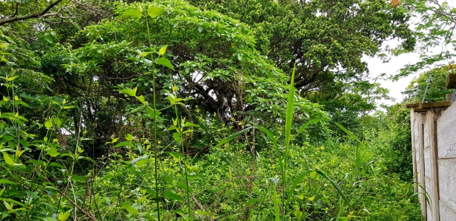 Commercial Property for Sale in Hibberdene KwaZulu-Natal