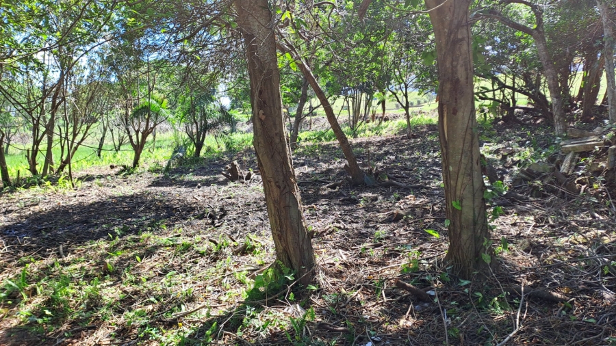 Commercial Property for Sale in Port Edward KwaZulu-Natal