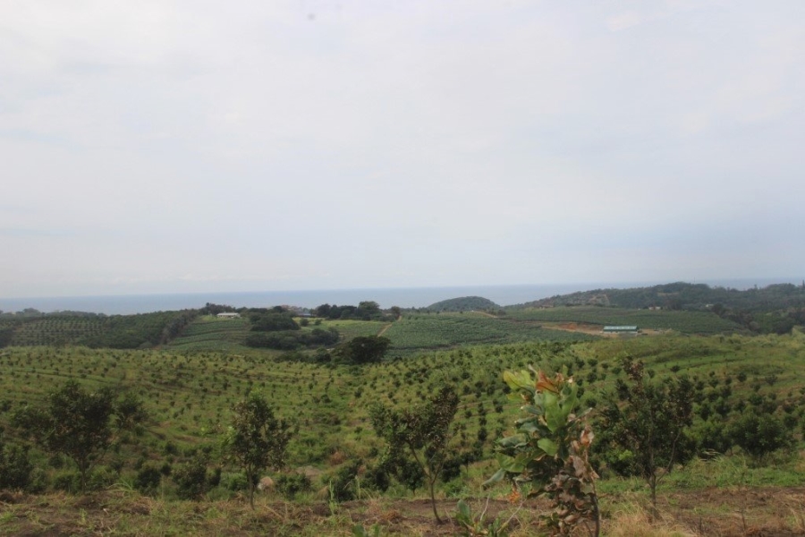 Commercial Property for Sale in Port Edward KwaZulu-Natal