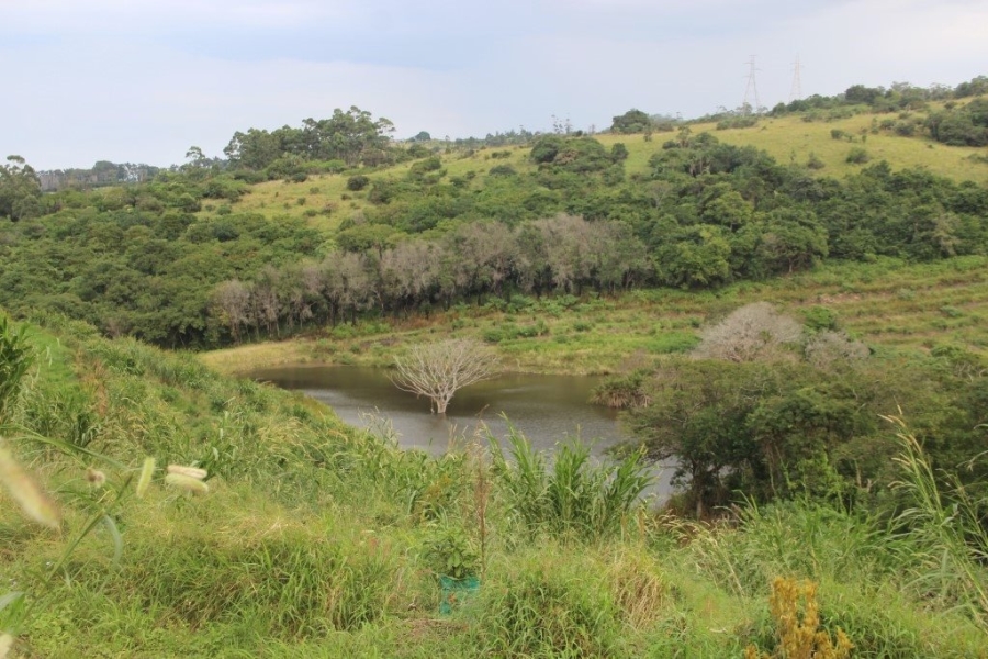Commercial Property for Sale in Port Edward KwaZulu-Natal