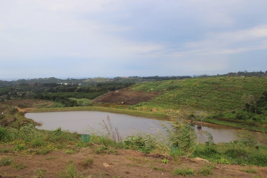 Commercial Property for Sale in Port Edward KwaZulu-Natal