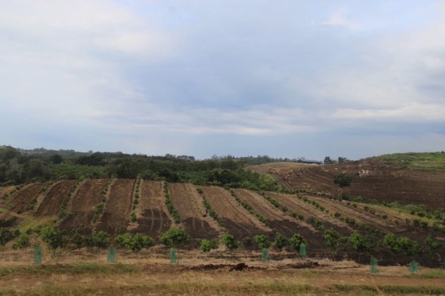 Commercial Property for Sale in Port Edward KwaZulu-Natal