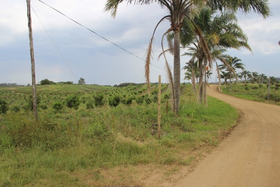 Commercial Property for Sale in Port Edward KwaZulu-Natal