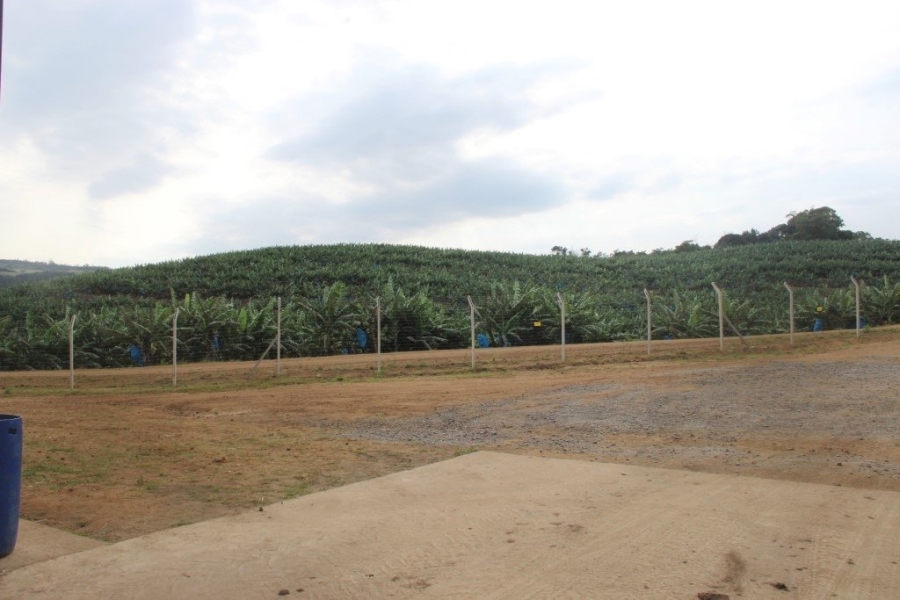 Commercial Property for Sale in Port Edward KwaZulu-Natal