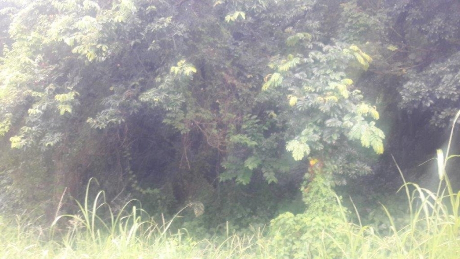 Commercial Property for Sale in Umtentweni KwaZulu-Natal