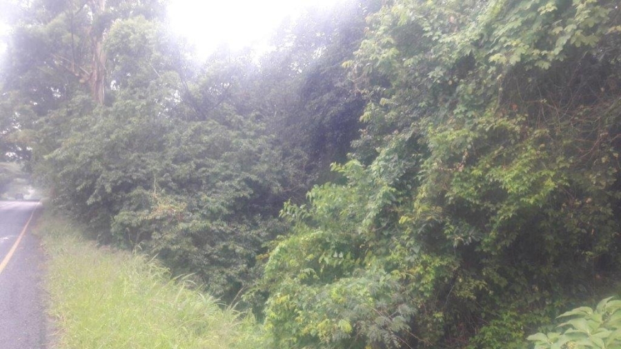 Commercial Property for Sale in Umtentweni KwaZulu-Natal