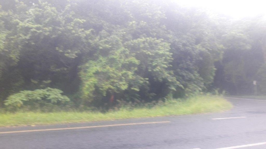 Commercial Property for Sale in Umtentweni KwaZulu-Natal