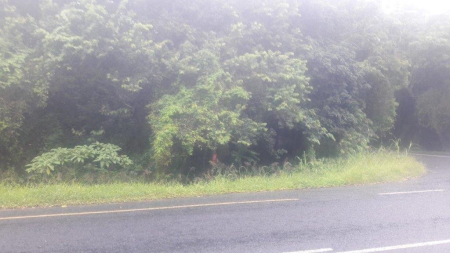 Commercial Property for Sale in Umtentweni KwaZulu-Natal