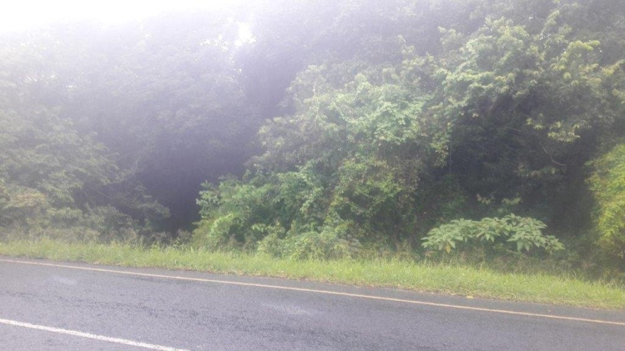Commercial Property for Sale in Umtentweni KwaZulu-Natal
