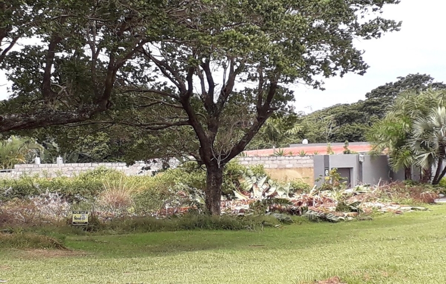 Commercial Property for Sale in Trafalgar KwaZulu-Natal