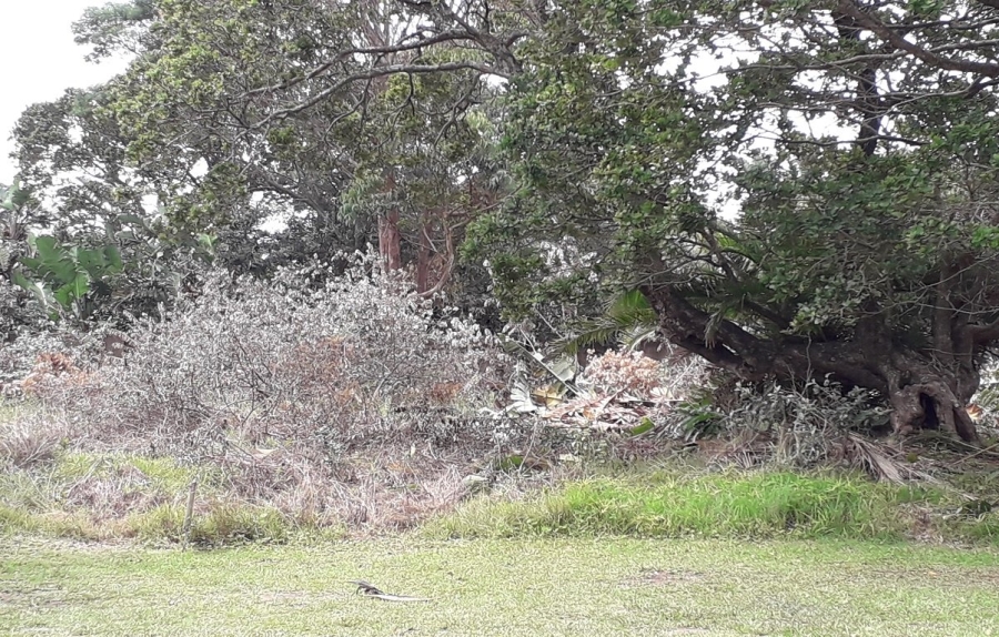 Commercial Property for Sale in Trafalgar KwaZulu-Natal