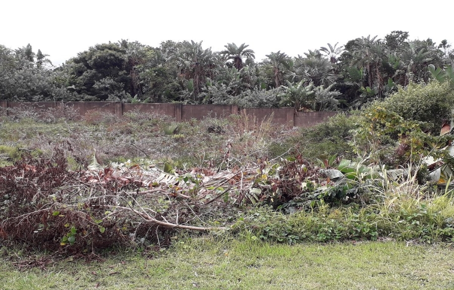 Commercial Property for Sale in Trafalgar KwaZulu-Natal