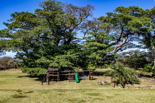 Commercial Property for Sale in Port Edward KwaZulu-Natal