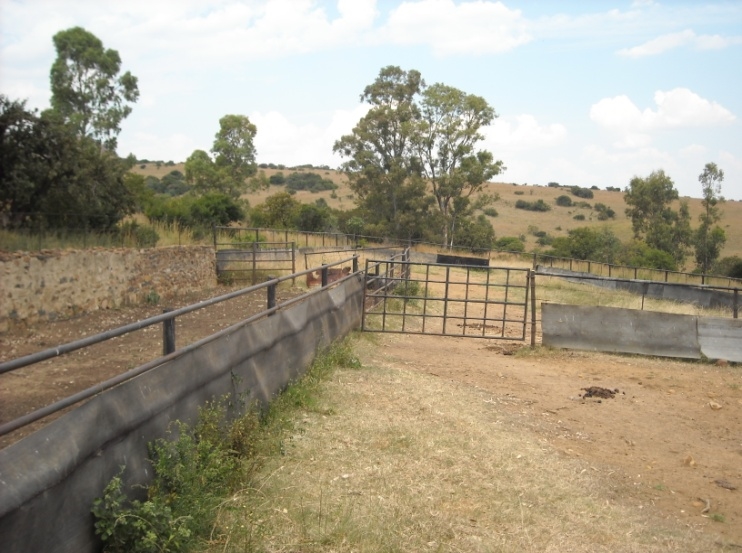 1 Bedroom Property for Sale in Newcastle Rural KwaZulu-Natal