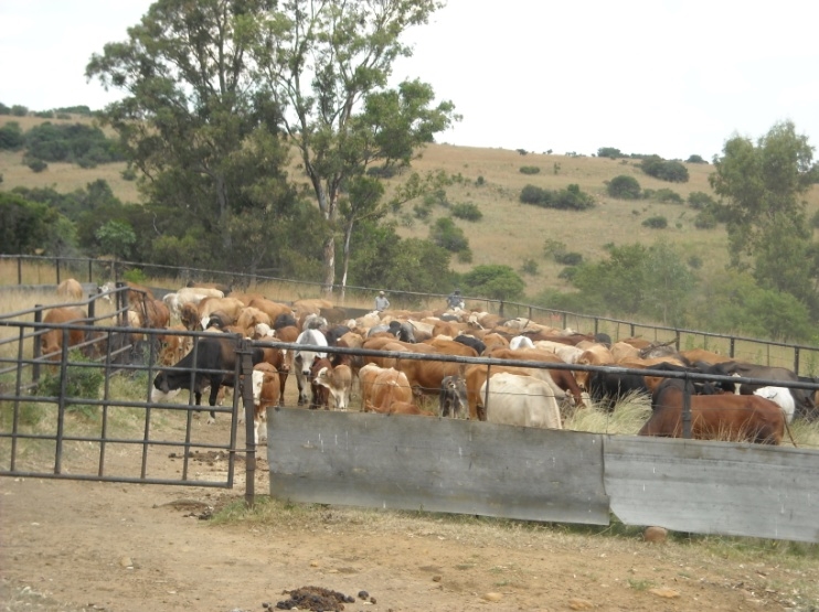 1 Bedroom Property for Sale in Newcastle Rural KwaZulu-Natal