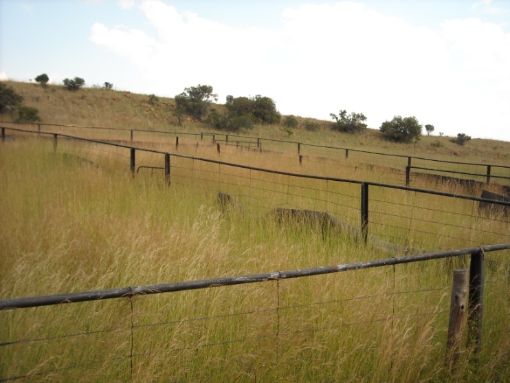 1 Bedroom Property for Sale in Newcastle Rural KwaZulu-Natal