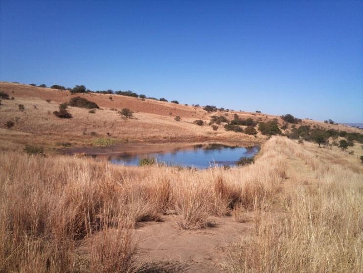 1 Bedroom Property for Sale in Newcastle Rural KwaZulu-Natal