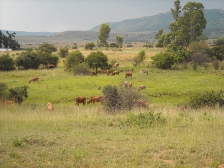 1 Bedroom Property for Sale in Newcastle Rural KwaZulu-Natal