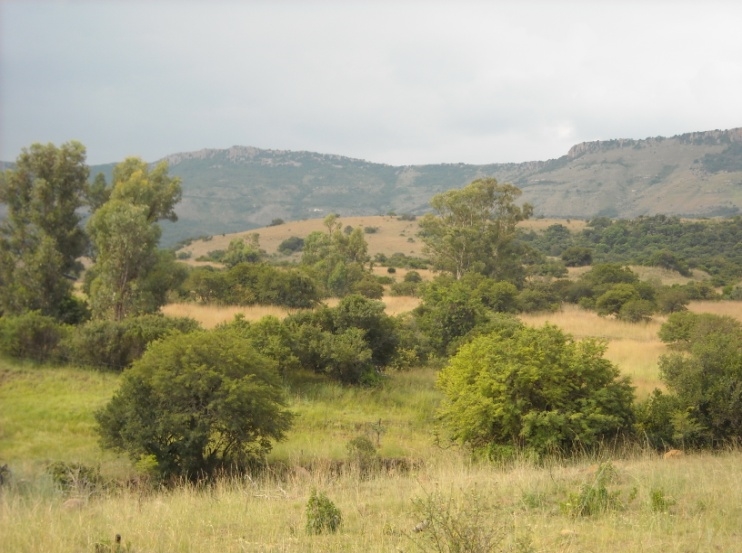 1 Bedroom Property for Sale in Newcastle Rural KwaZulu-Natal