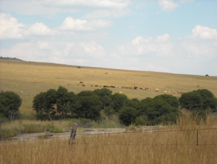 1 Bedroom Property for Sale in Newcastle Rural KwaZulu-Natal