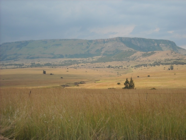1 Bedroom Property for Sale in Newcastle Rural KwaZulu-Natal