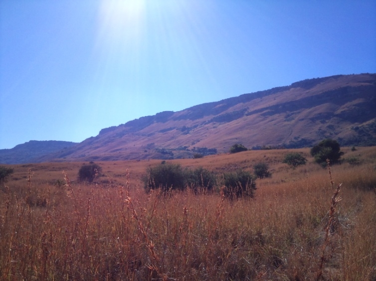 1 Bedroom Property for Sale in Newcastle Rural KwaZulu-Natal