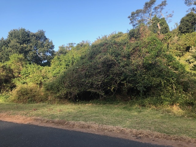 0 Bedroom Property for Sale in Zinkwazi Beach KwaZulu-Natal