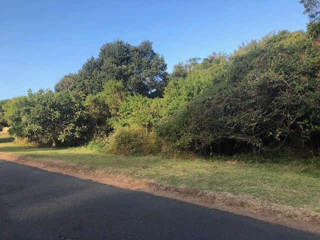 0 Bedroom Property for Sale in Zinkwazi Beach KwaZulu-Natal