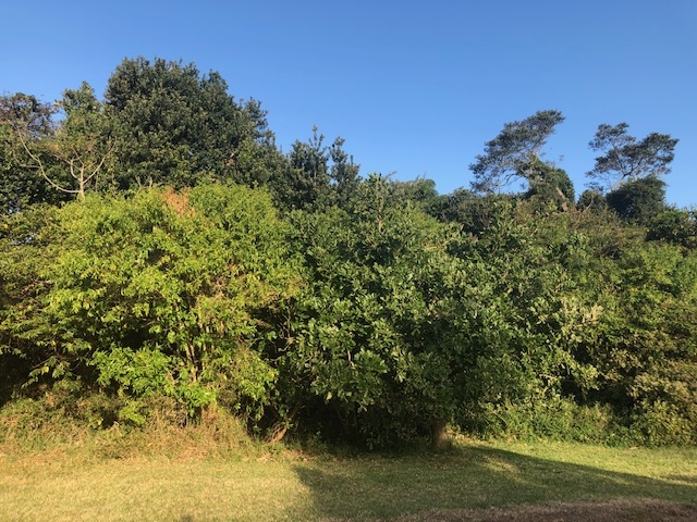 0 Bedroom Property for Sale in Zinkwazi Beach KwaZulu-Natal