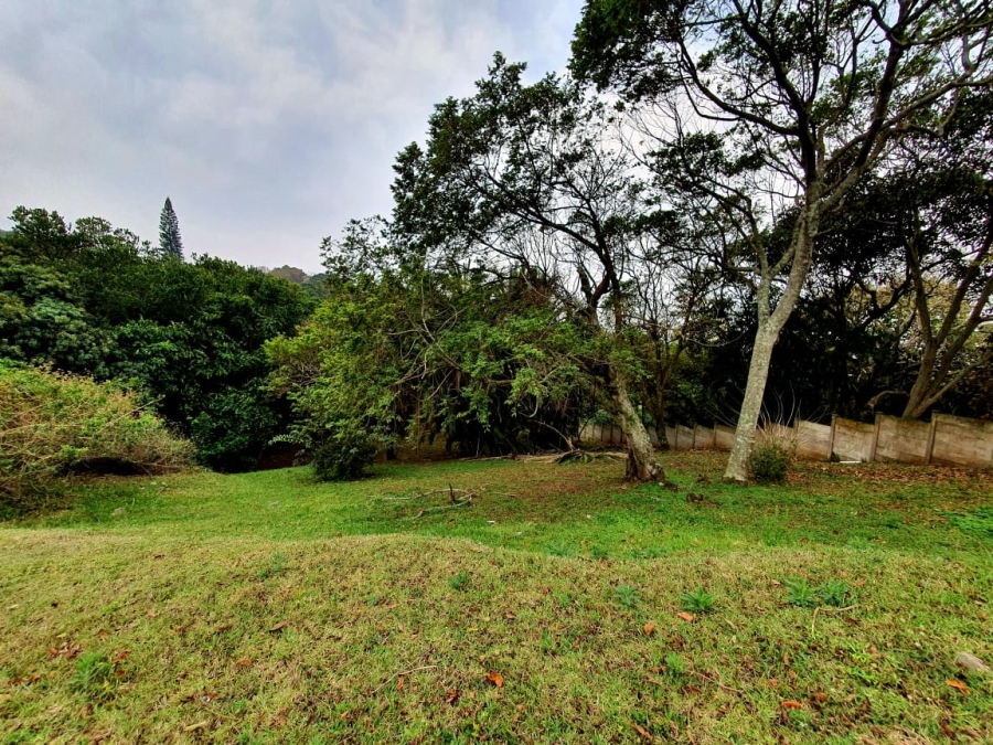 Commercial Property for Sale in Hibberdene KwaZulu-Natal