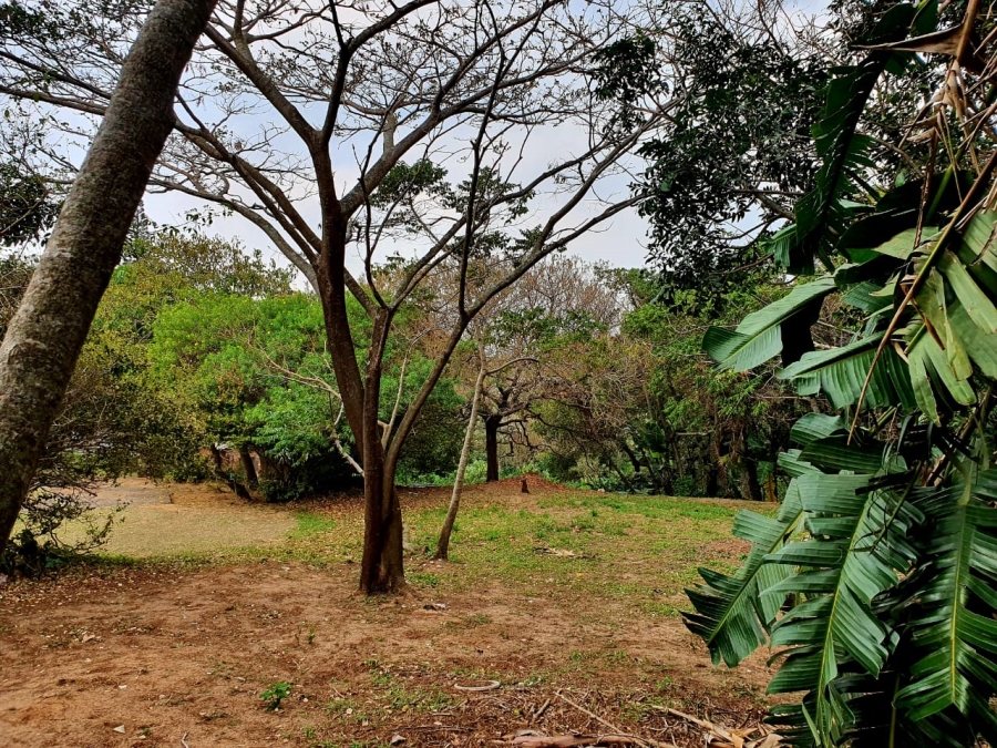 Commercial Property for Sale in Hibberdene KwaZulu-Natal