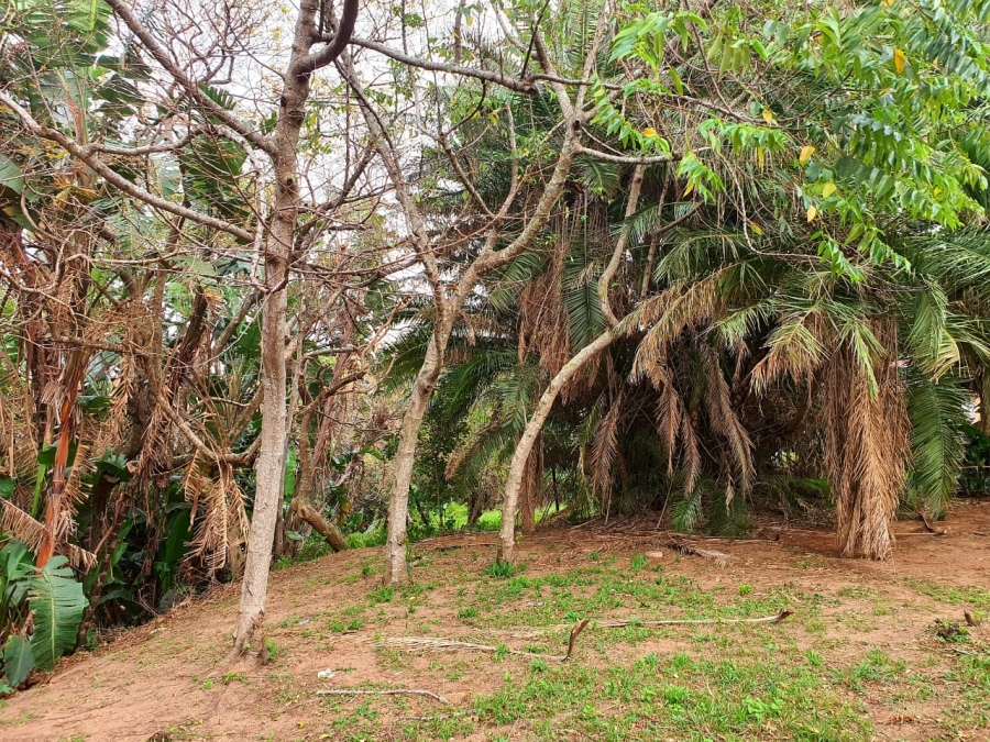 Commercial Property for Sale in Hibberdene KwaZulu-Natal