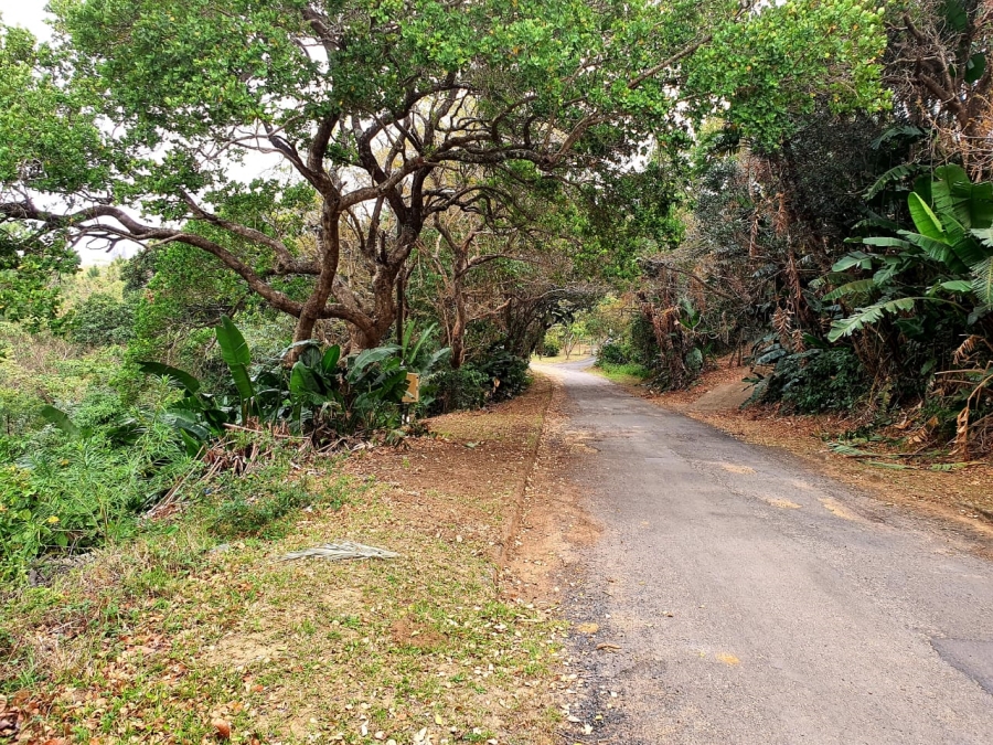 Commercial Property for Sale in Hibberdene KwaZulu-Natal