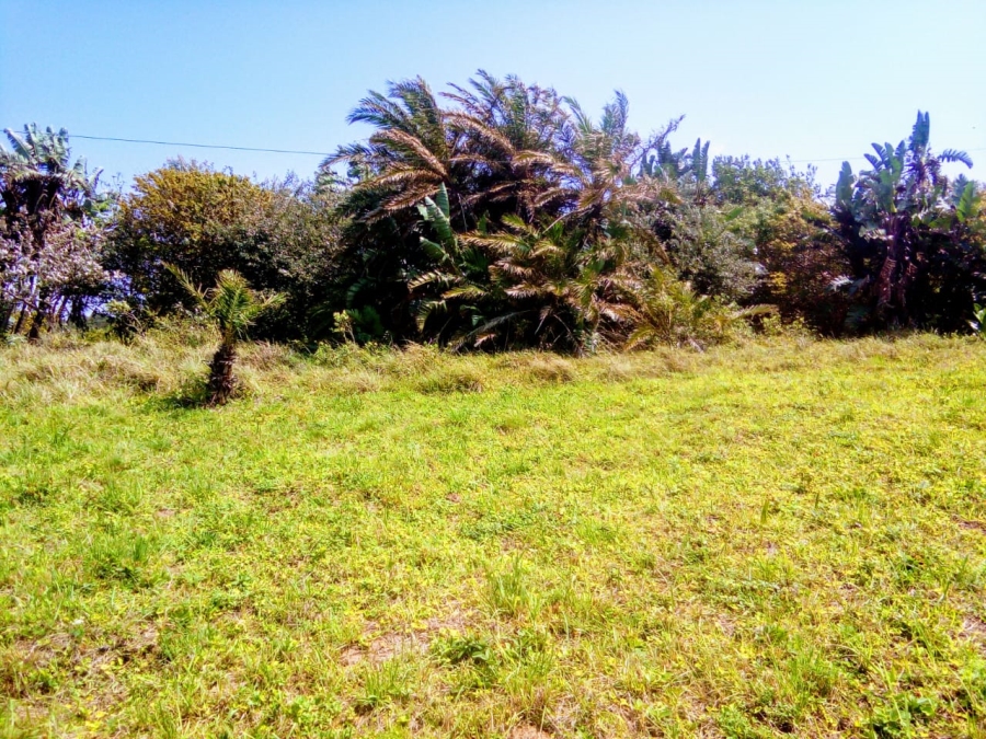 Commercial Property for Sale in Hibberdene KwaZulu-Natal