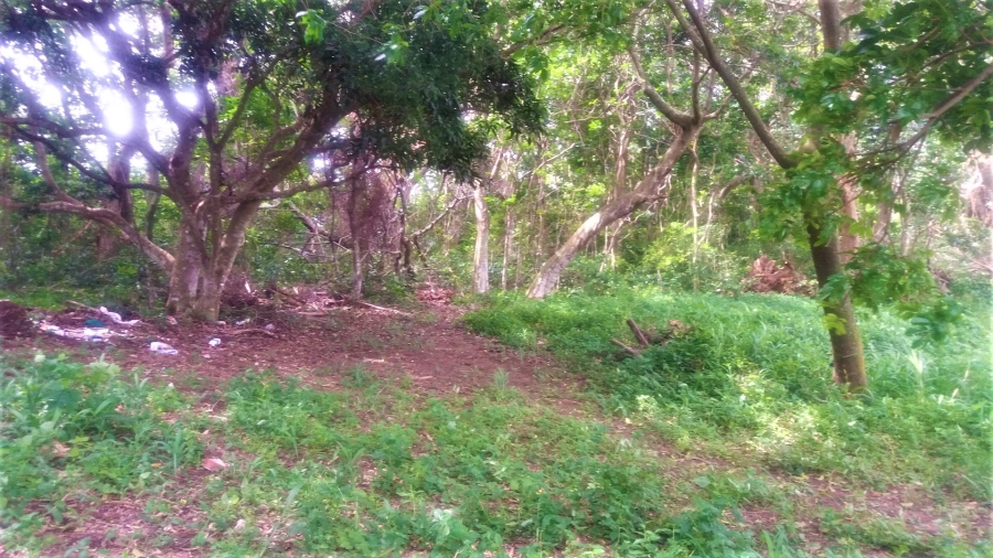 Commercial Property for Sale in Umtentweni KwaZulu-Natal
