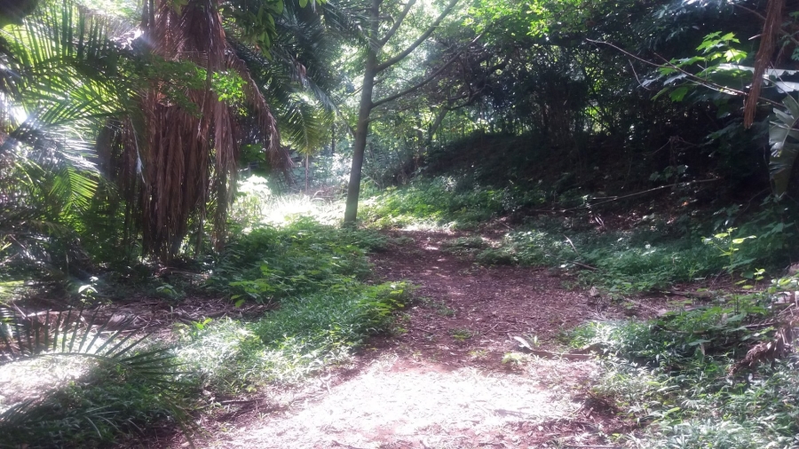 Commercial Property for Sale in Umzumbe KwaZulu-Natal