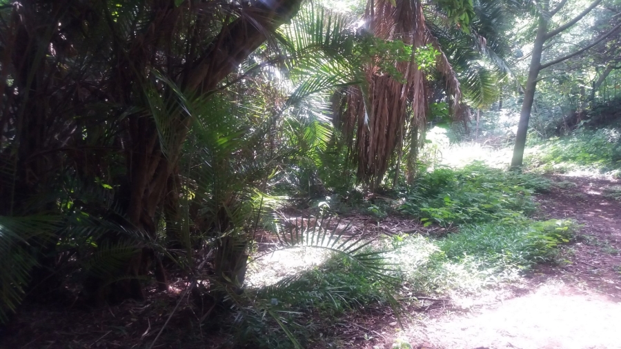 Commercial Property for Sale in Umzumbe KwaZulu-Natal