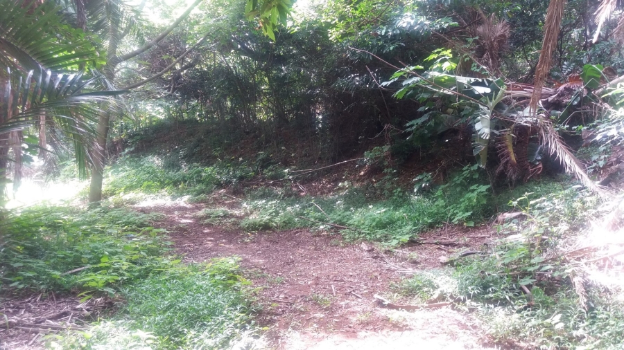 Commercial Property for Sale in Umzumbe KwaZulu-Natal