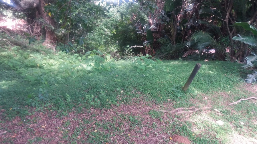 Commercial Property for Sale in Umzumbe KwaZulu-Natal