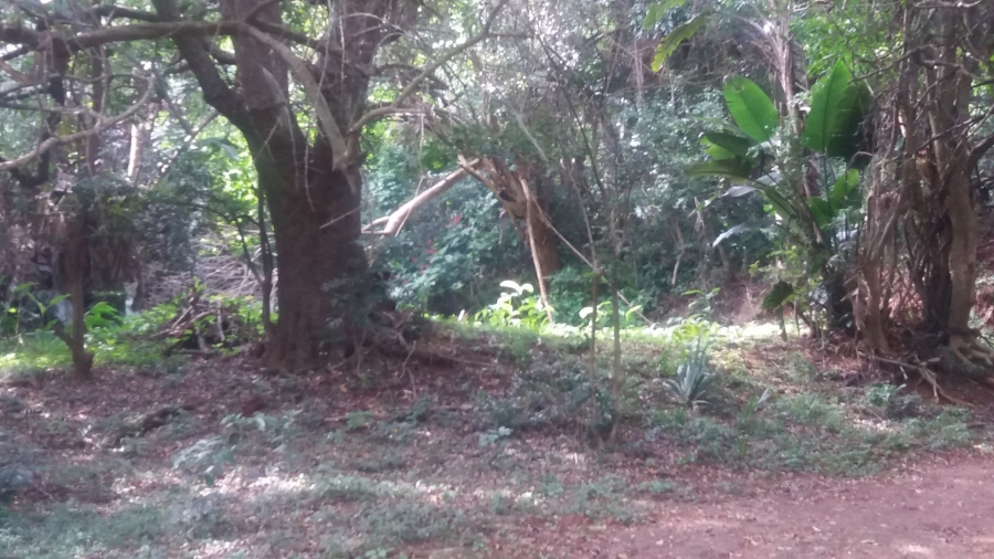 Commercial Property for Sale in Umzumbe KwaZulu-Natal