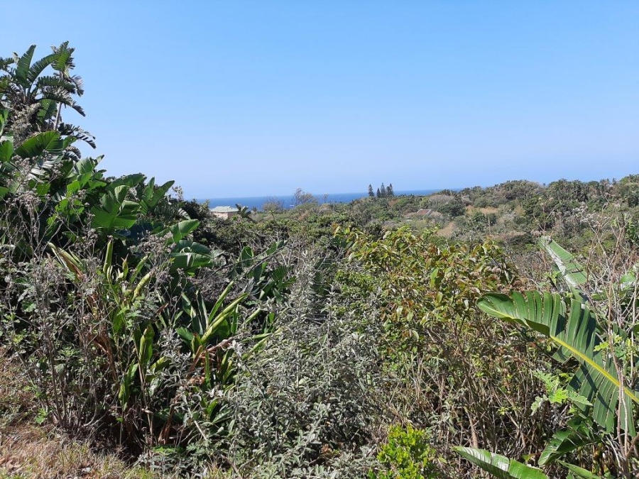 Commercial Property for Sale in Trafalgar KwaZulu-Natal