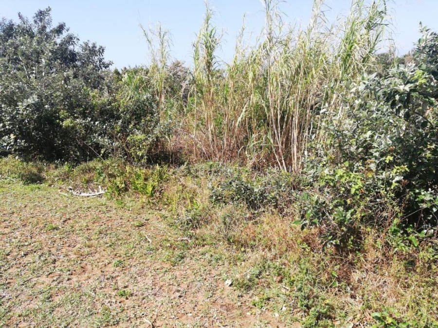Commercial Property for Sale in Trafalgar KwaZulu-Natal
