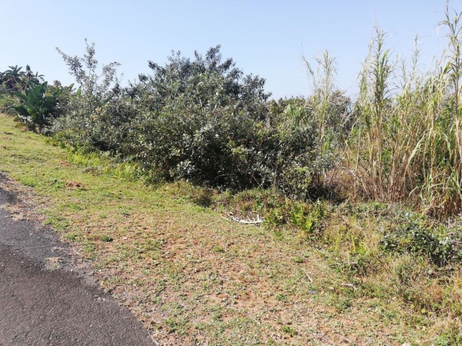 Commercial Property for Sale in Trafalgar KwaZulu-Natal