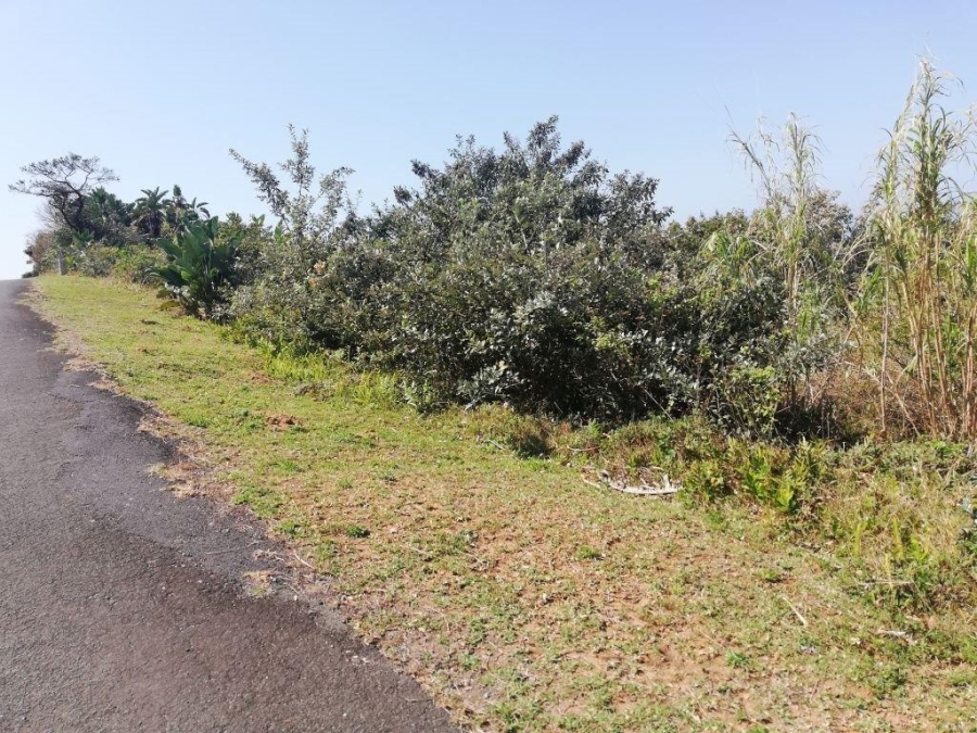 Commercial Property for Sale in Trafalgar KwaZulu-Natal
