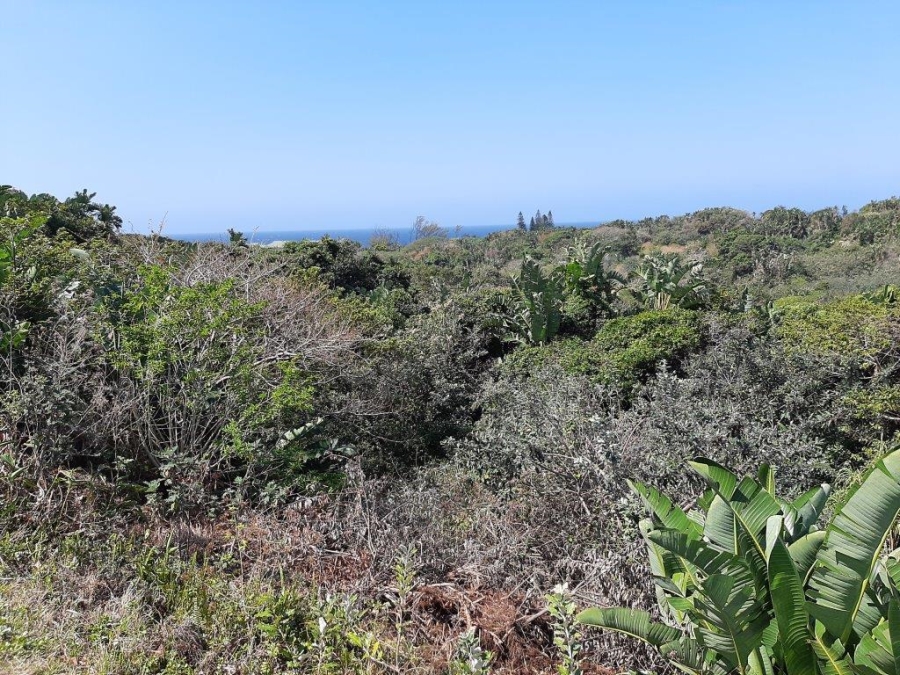 Commercial Property for Sale in Trafalgar KwaZulu-Natal