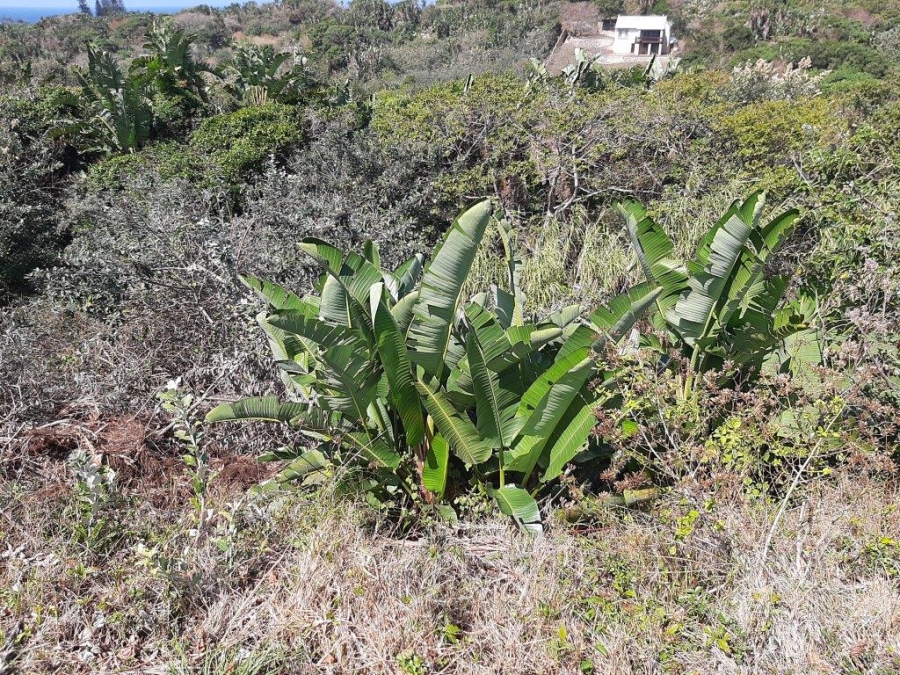 Commercial Property for Sale in Trafalgar KwaZulu-Natal