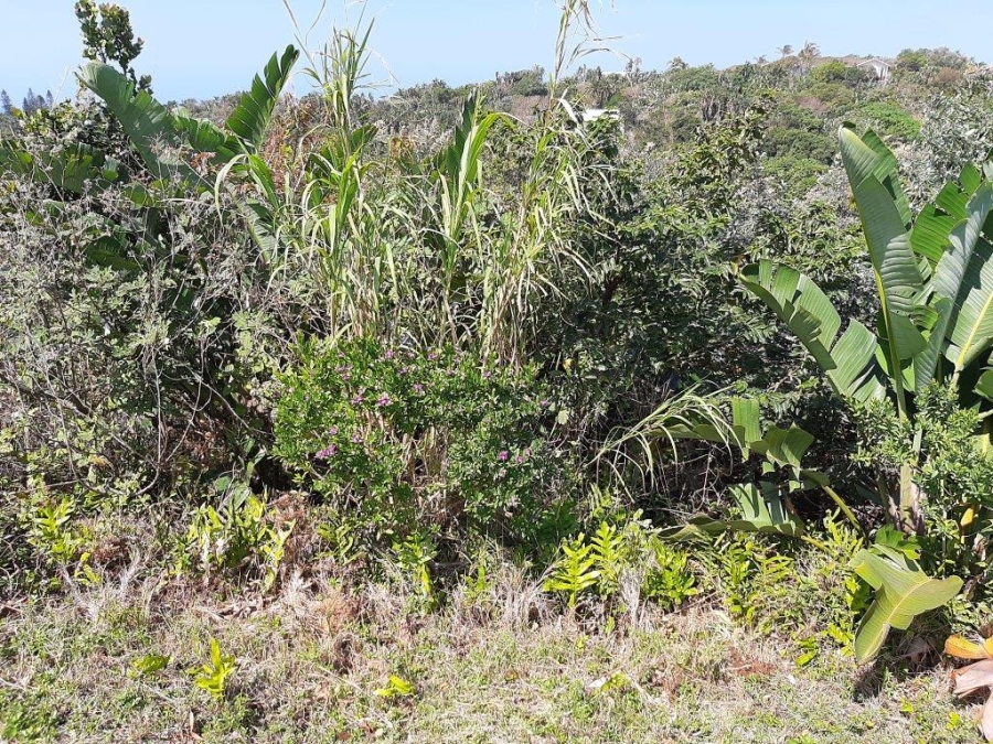 Commercial Property for Sale in Trafalgar KwaZulu-Natal