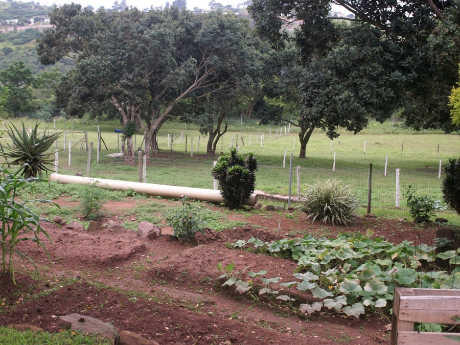 Commercial Property for Sale in Cliffdale KwaZulu-Natal